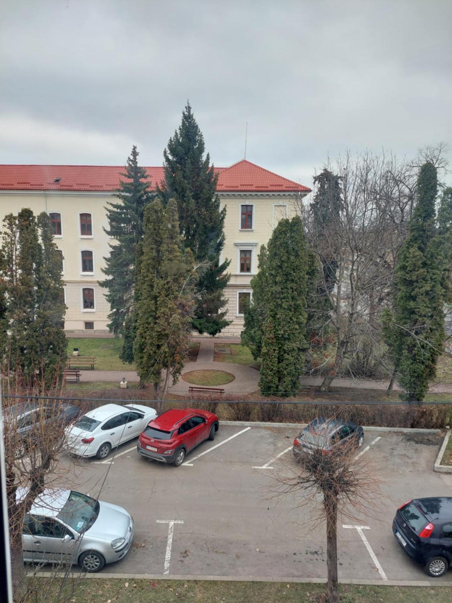 Trandafirului Residence Central Suceava Buitenkant foto